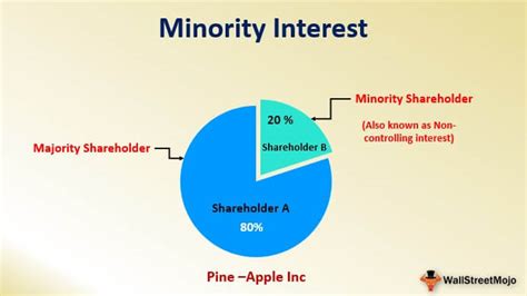 total equity gross minority interest meaning|Minority Interest: Definition, Types, and Examples .